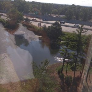 Meet your Posher, Darreius